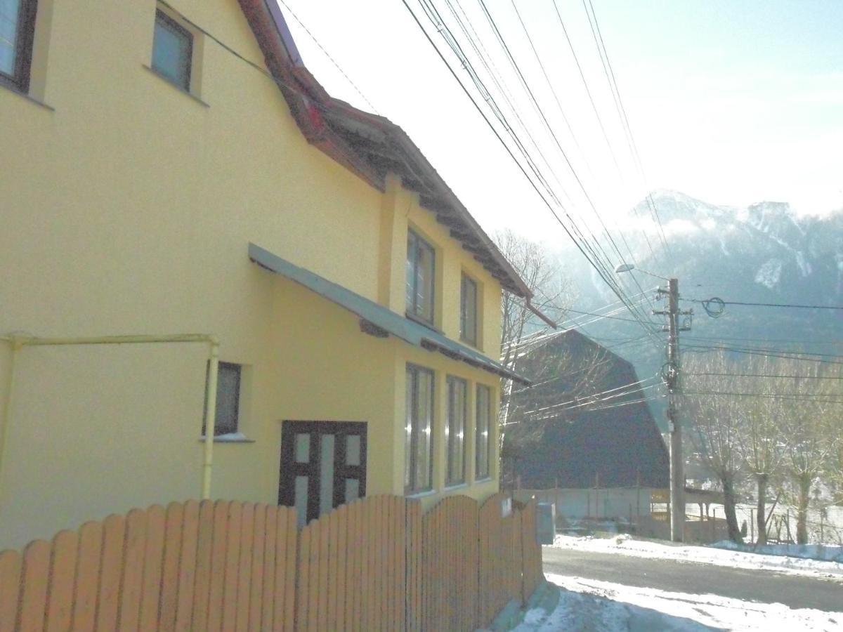 Отель Casa Doina Буштени Экстерьер фото