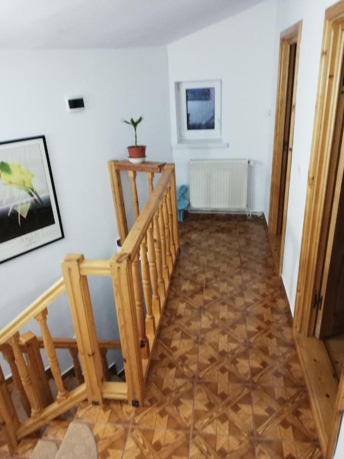 Отель Casa Doina Буштени Экстерьер фото